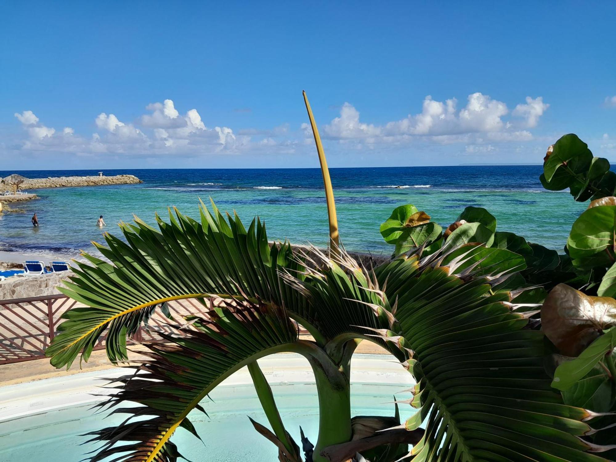 Ferienwohnung Studio Coeur Passion Vue Mer Charme Et Standing Saint-Francois  Exterior foto